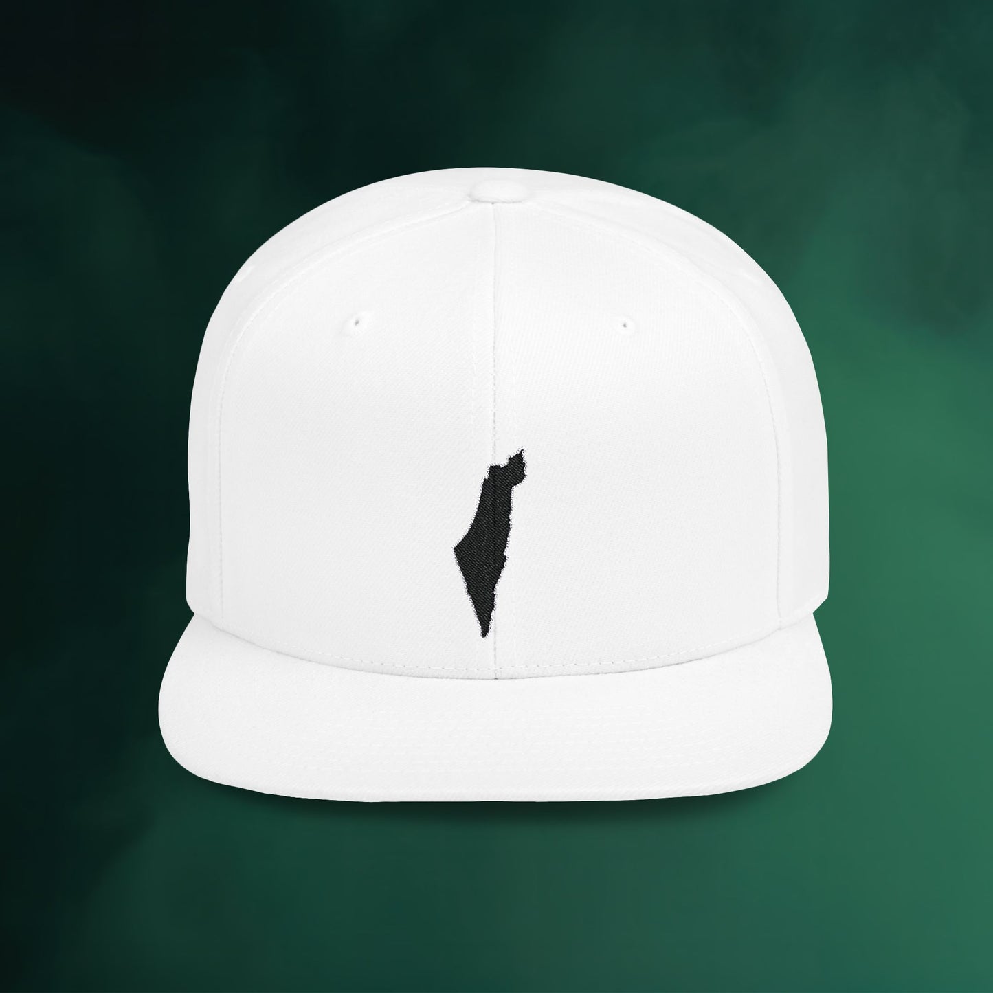Flat Bill Snapback
